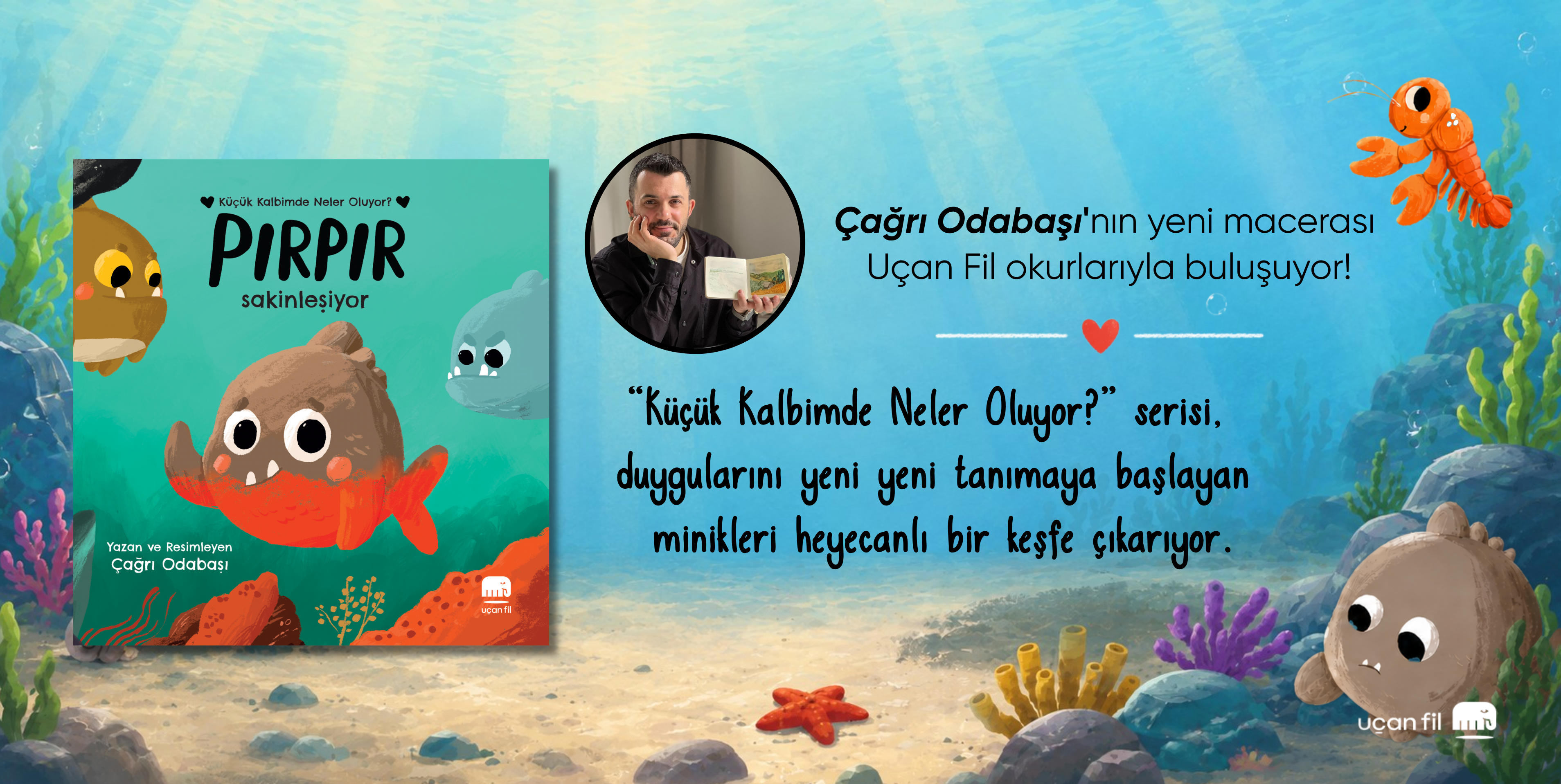 Pır Pır Sakinleşiyor